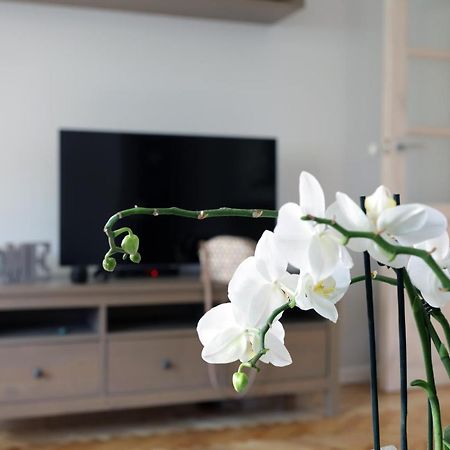 Apartament Turkus 슈체친 외부 사진