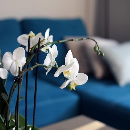 Apartament Turkus 슈체친 외부 사진