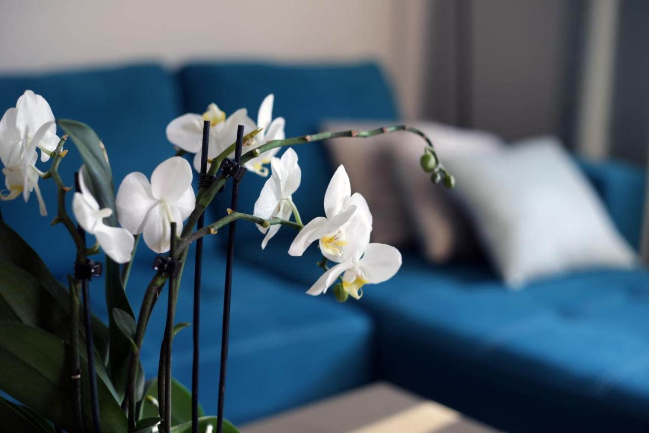 Apartament Turkus 슈체친 외부 사진